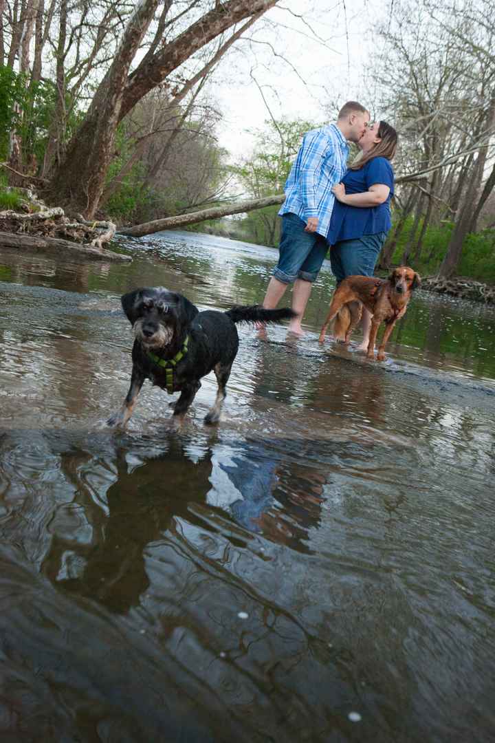 NWR- who has adopted their animals??