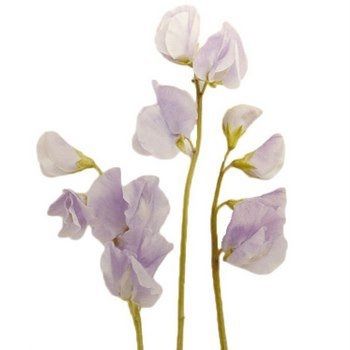 Please help me with my flowers!