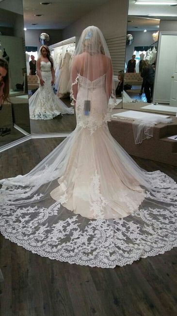 Dress shopping opinions!!