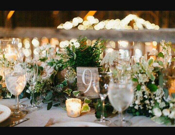 What are your wedding colors??