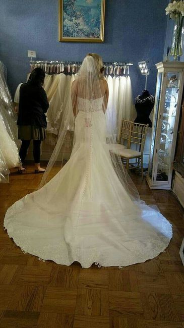 I said YES TO THE DRESS!!!
