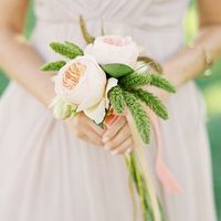 Help me identify these flowers!