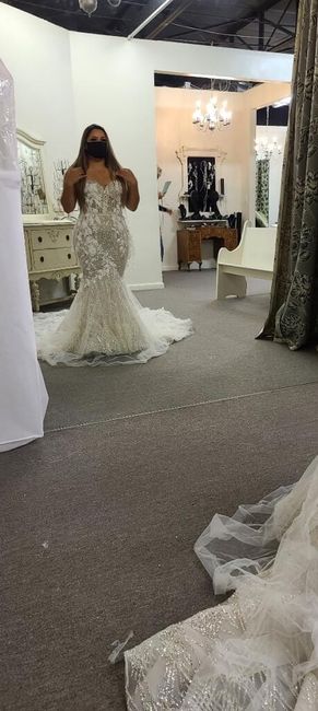 Dress size 14 - Street Size 12. Dress pics?? - 1