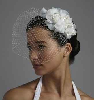 Let's Discuss Veils?