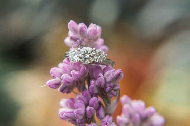 Newly Engaged Introduction