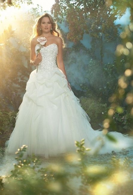 Wedding dress help