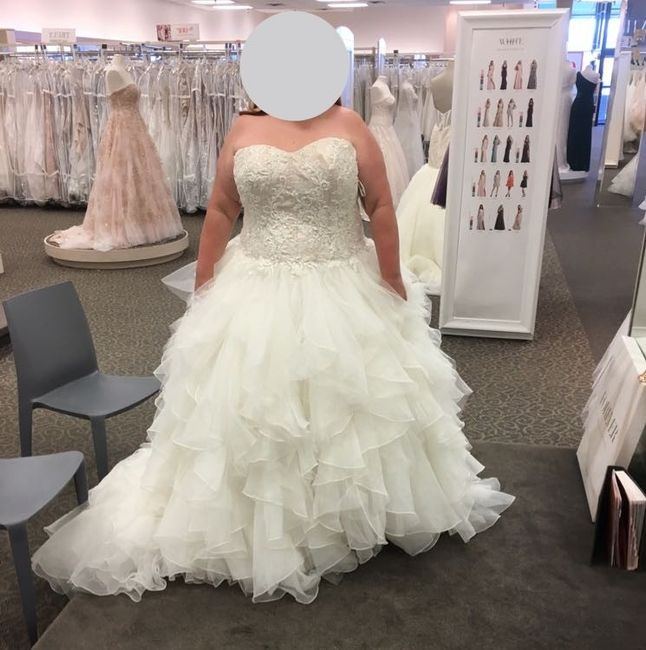 Davids Bridal Dresses!