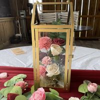 Sola vs. Ling’s Moments - 4