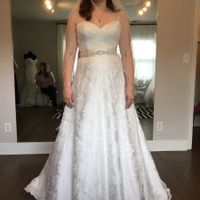 Have you said YES to the DRESS?