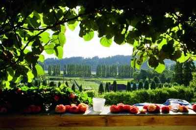 lets see pics of everyones venues!!