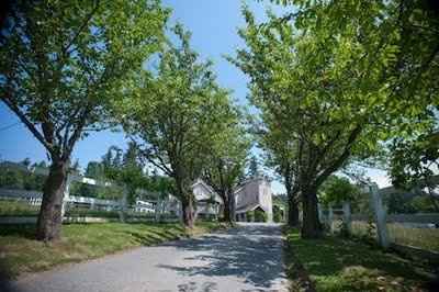 lets see pics of everyones venues!!