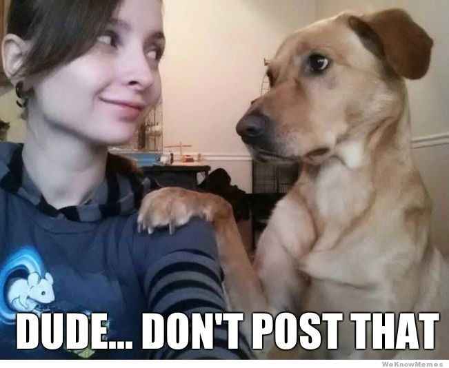 Spin-Off : Feeding the Trolls