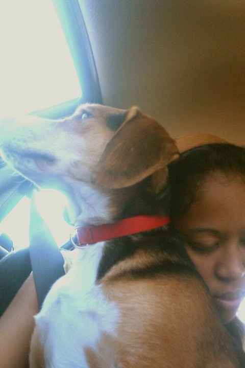 NWR Show me your furbabies