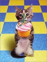 KWR Today I woke up 27