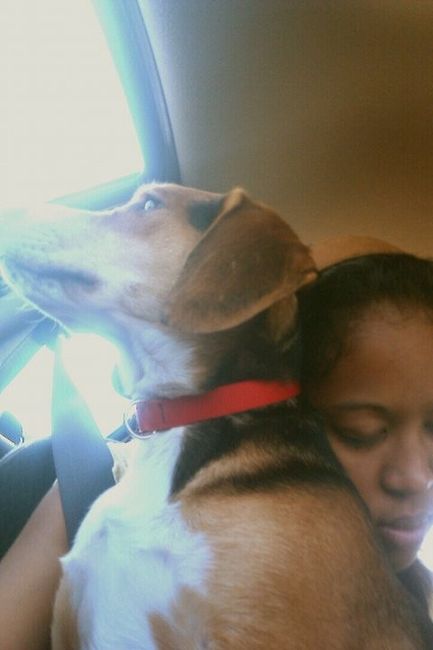 NWR Show me your furbabies