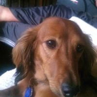 NWR- show me your pet!