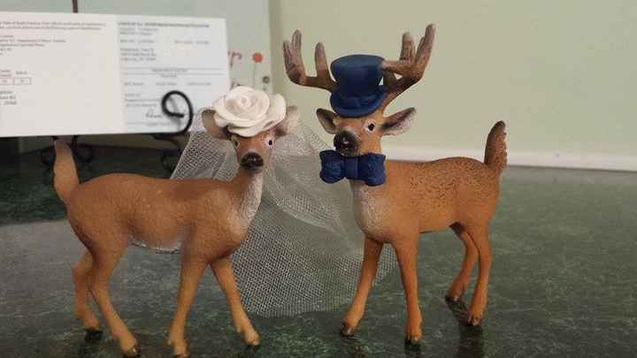 Anyone hunt? Incorporating into wedding?