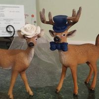 Anyone hunt? Incorporating into wedding?