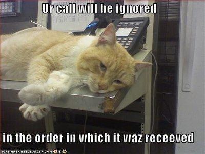 Friday Fun Picture Post
