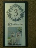 Are you (did you) including your pet/fur-baby in your wedding?