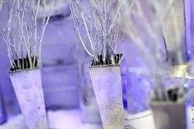 Winter Wonderland ideas.....