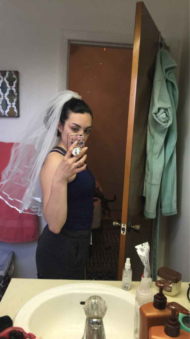 To veil or not to veil....? - 2