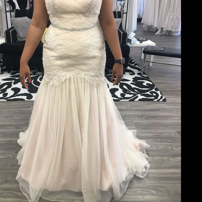 Blush dress but what color veil? 1