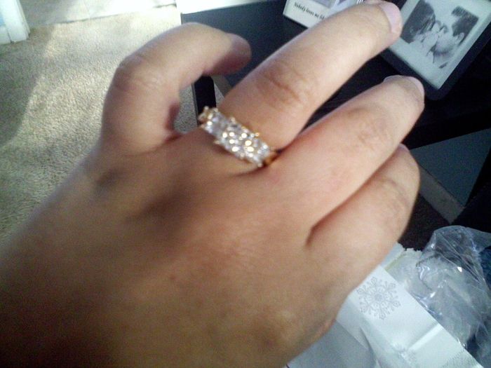 A Fiance for the Holidays?