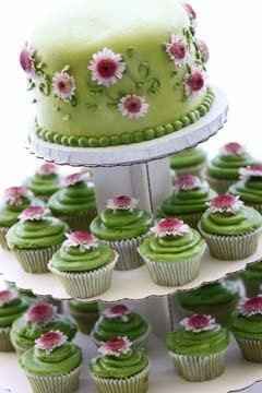 Whts ur cake going to look like?