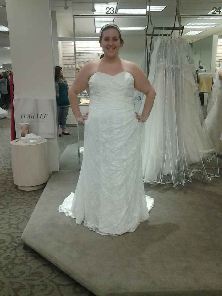 Where are my plus size brides?