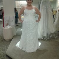 Where are my plus size brides?