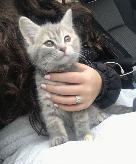 We started our family this weekend. 6