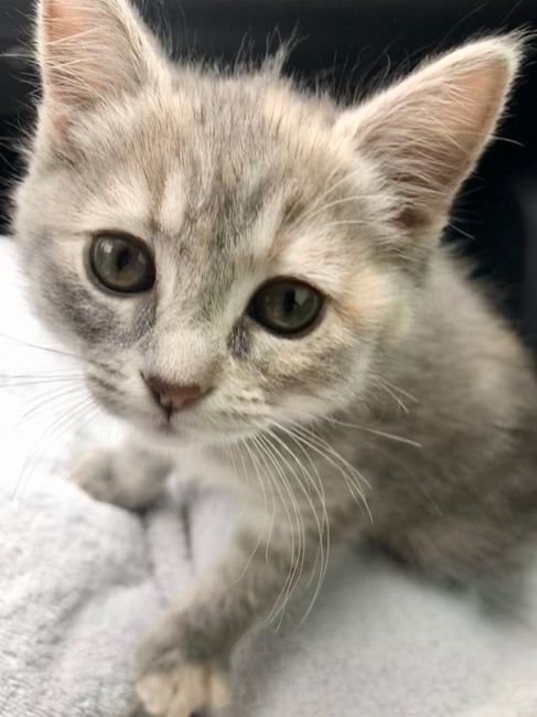 We started our family this weekend. 7