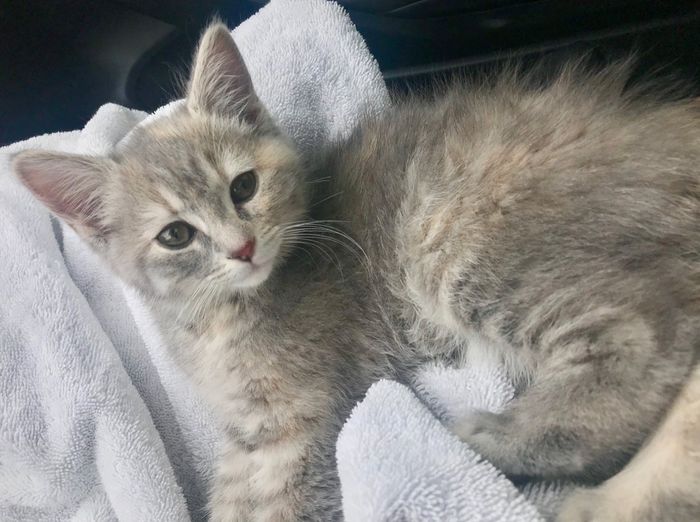 We started our family this weekend. 8