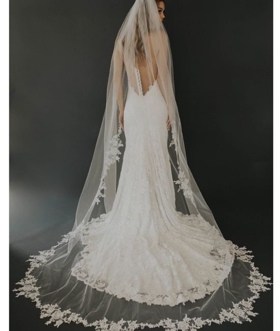 Need help deciding a veil! 1