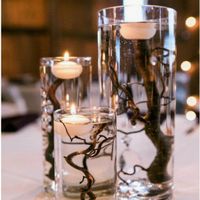 ... or these cool looking branches!