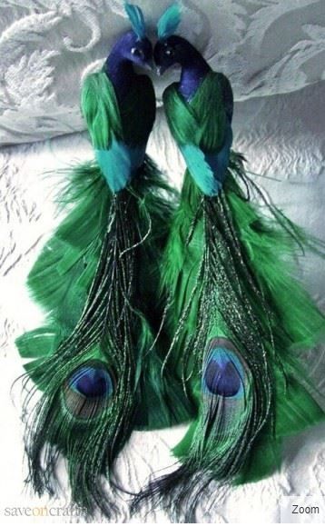 peacock