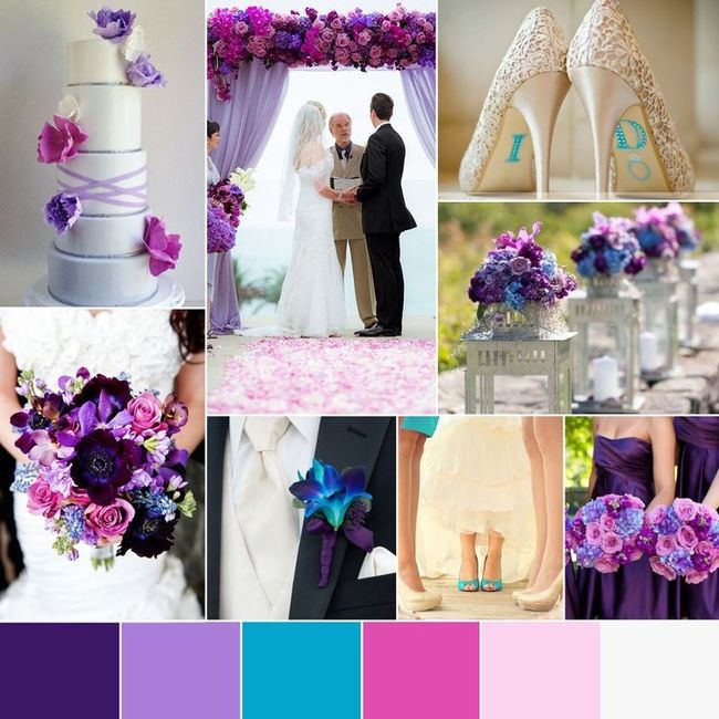 color palette