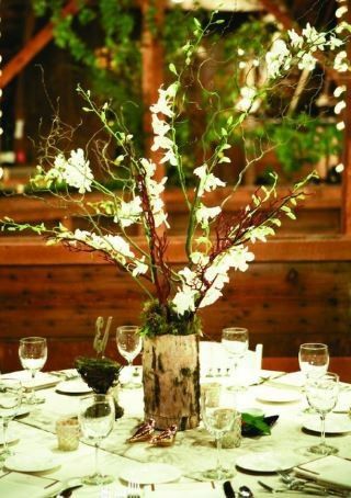 diy Enchanted Forest Themed Wedding Decorations 1