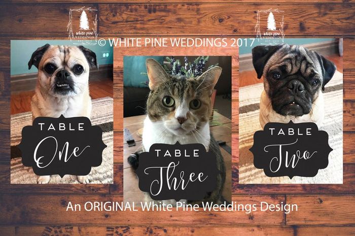 Show me your table numbers! - 2