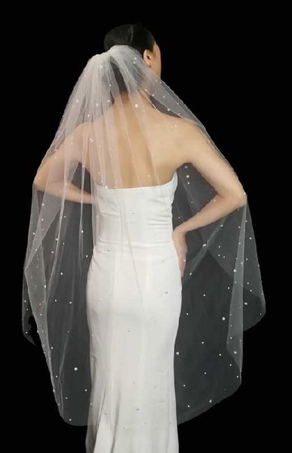 veil help - 1