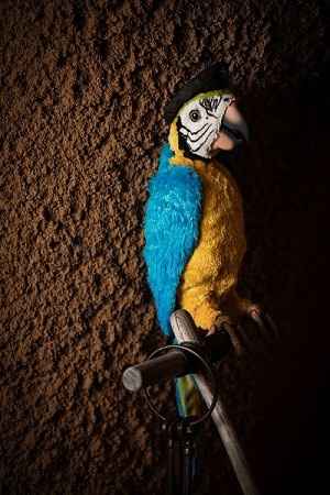 our parrot (animated) by appetizer table