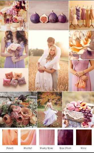 color palette