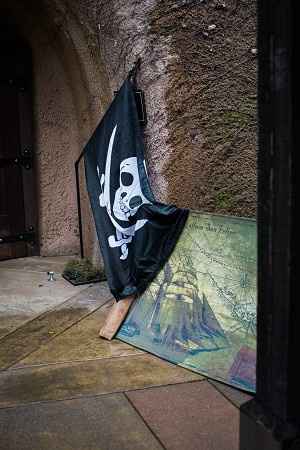 bam (anniversary) – Disney Pirate Wedding - 23