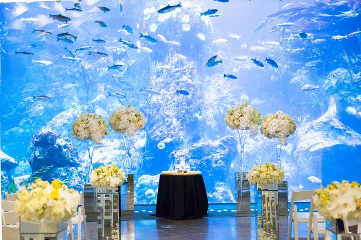 Aquarium Wedding - 1