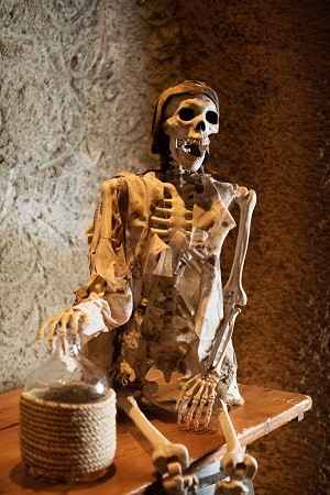 skeleton & jug