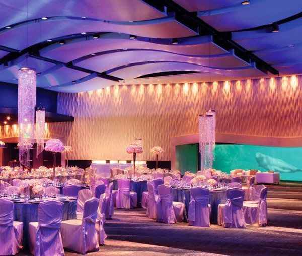 cool reception