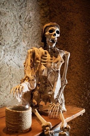 skeleton