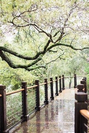 aw, the walkway to our ceremony (we have a pic of us here too)