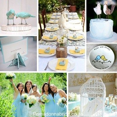 love birds board